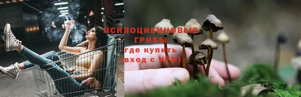 MDMA Premium VHQ Богородск