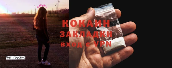 мдпв Бронницы