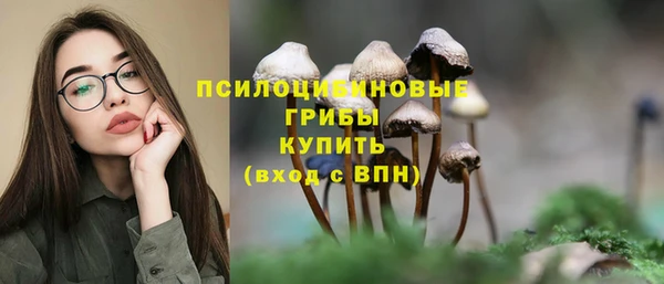 ALPHA PVP Бугульма