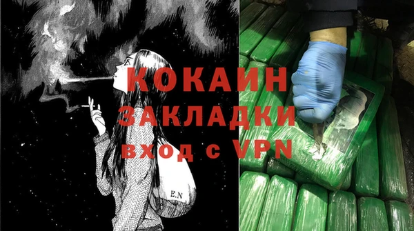 мдпв Бронницы